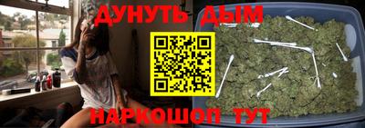 спиды Кингисепп