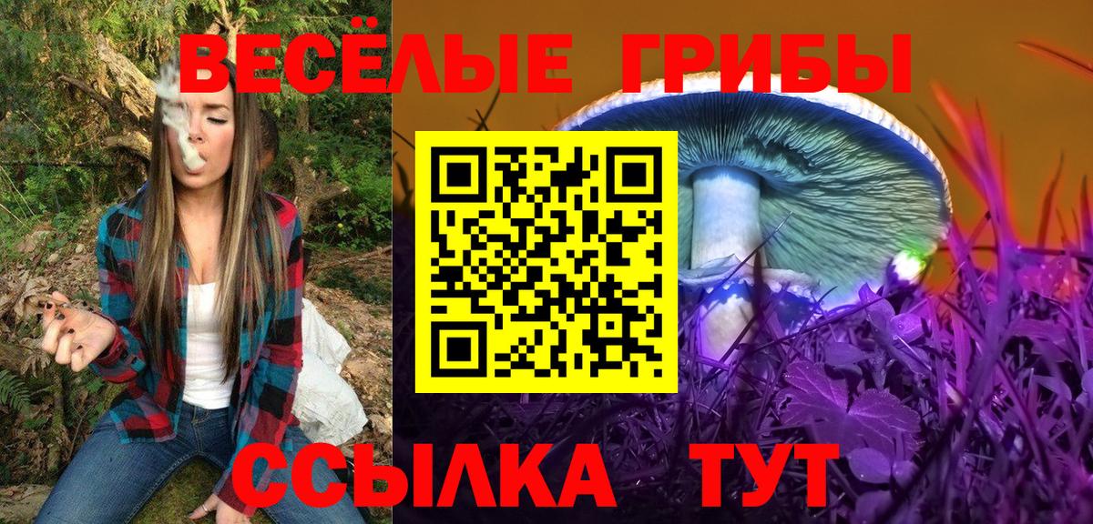 Псилоцибиновые грибы Psilocybine cubensis Кохма