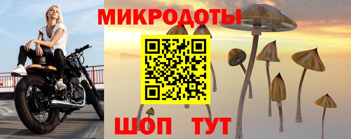 Кохма  Галлюциногенные грибы прущие грибы  Вход с VPN 