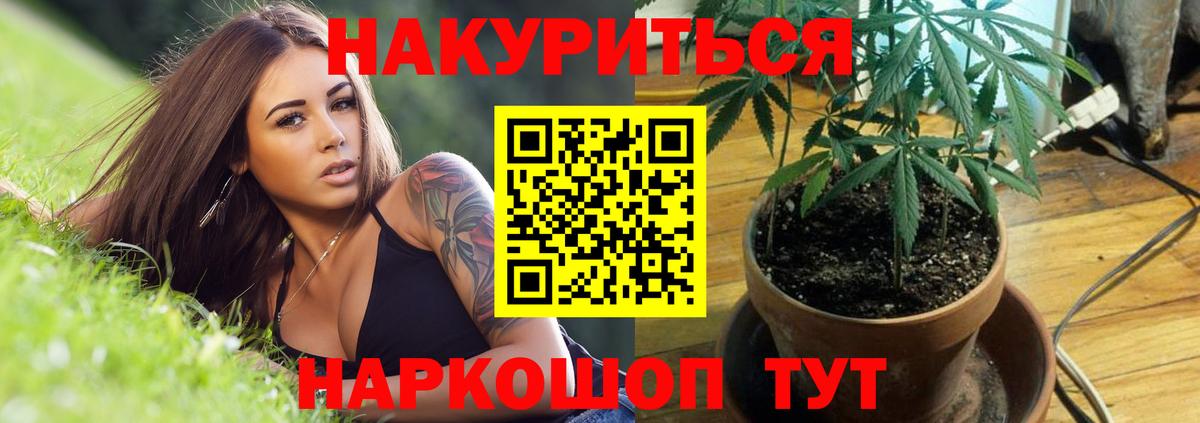 Кохма  Конопля OG Kush  Каннабис White Widow  Вход с VPN 